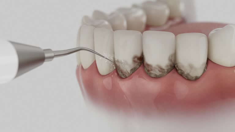 Reliable Dental contractor in Pomona, KS by Dentist Open Now